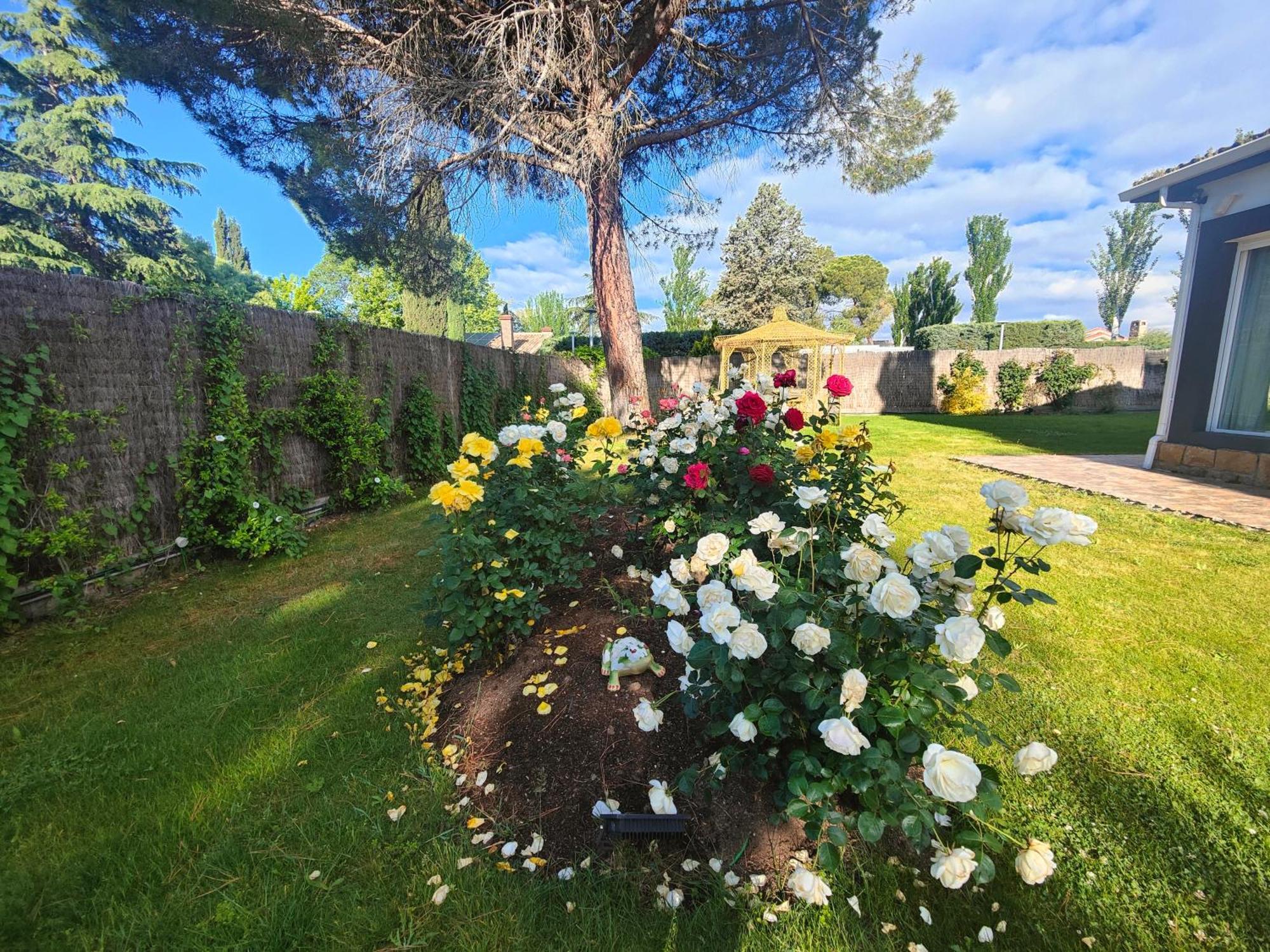 Chalet Con Piscina Y Jacuzzi En Madrid Alquila Habitaciones Algete Luaran gambar